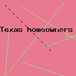 texas homeowners insurance
