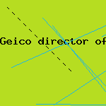 geico home insurance
