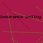 insurance policy