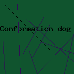 conformation dog leads
