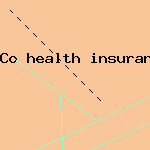 insurance auto auctions inc